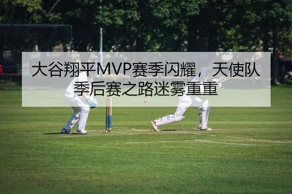 大谷翔平MVP赛季闪耀，天使队季后赛之路迷雾重重