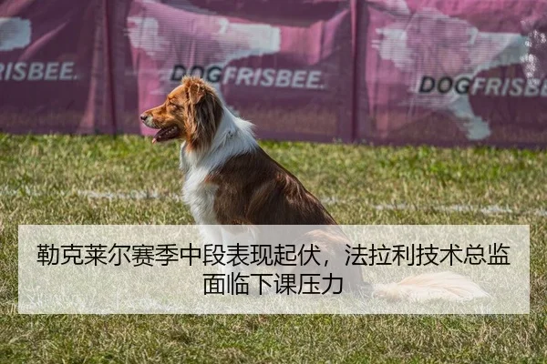 勒克莱尔赛季中段表现起伏，法拉利技术总监面临下课压力